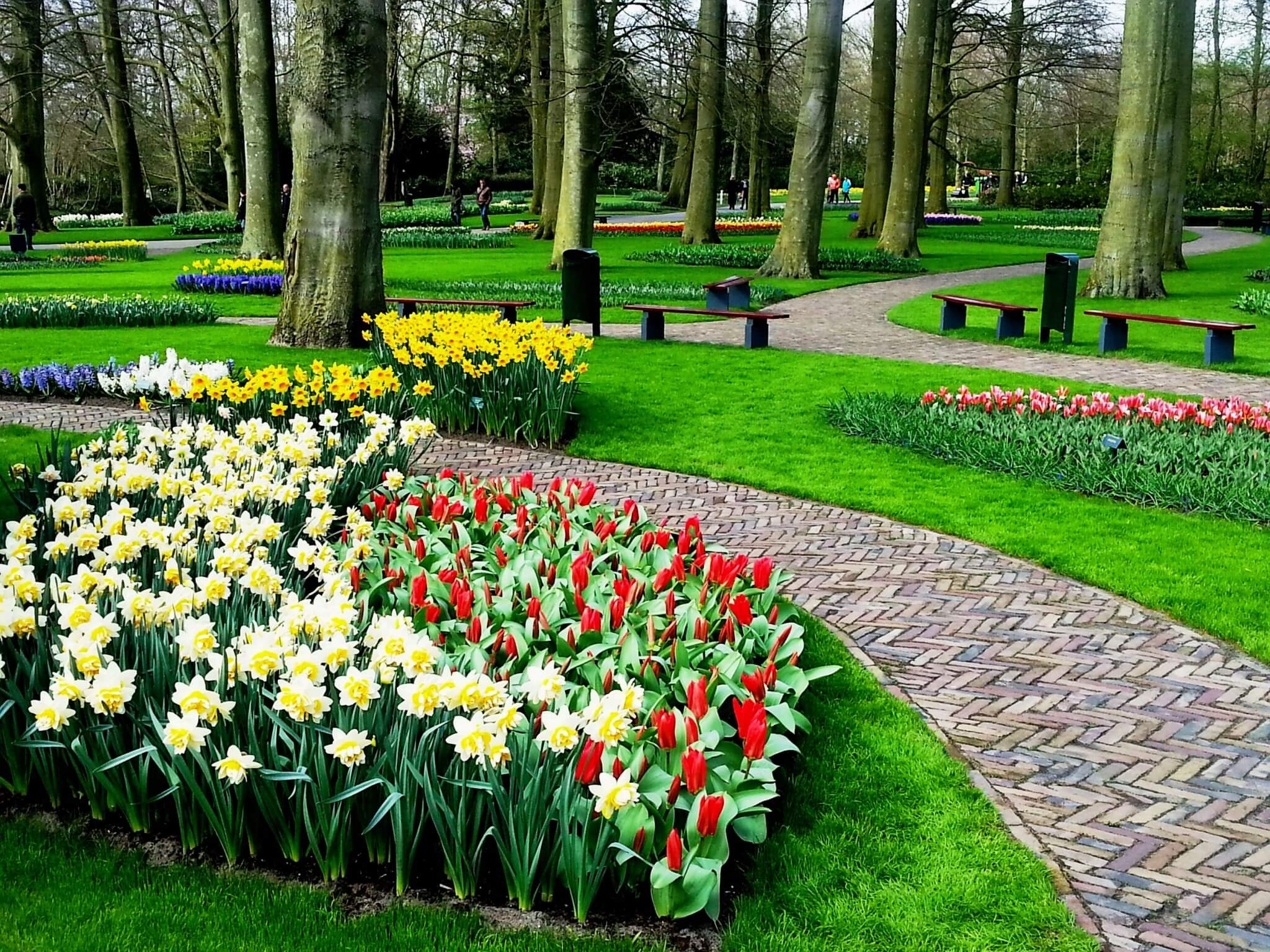 הולנד, מרכז קדם לטיולים