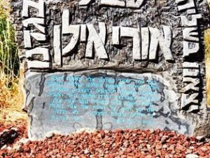 אורי אילן
