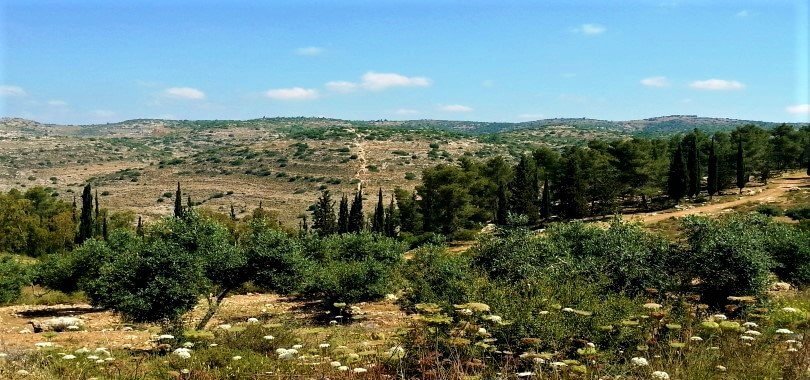 גוש עציון