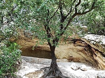 ירושלים
