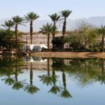 DSCN8267 – כותרת ערבה