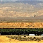 תמרים – כותרת נופי ערבה